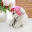 Pet Dog Breathable Sunhat Cap Hat Headwear Summer Adjustable Mesh Canvas