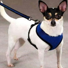 Dog Harness Adjustable Pet Puppy Walking Strap Breathable Vest Soft Chest Belt